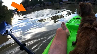 SCARY ALLIGATOR ENCOUNTER while KAYAKING with DOG