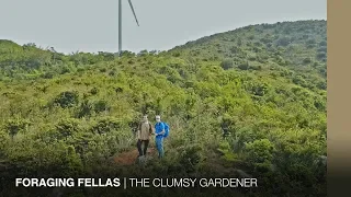 CLUMSY GARDENER | Foraging Fellas