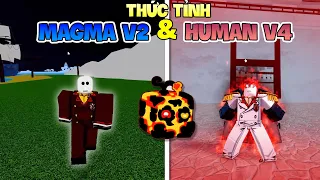 TÔI đã dành 50 giờ để thức tỉnh MAGMA V2 và HUMAN V4 và trở thành AKAINU trong ROBLOX BLOX FRUIT