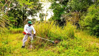 This Elderly LANDLORD Is Looking to SELL So I CLEARED His Land! For FREE! ASMR YARD TRANSFORMATION!