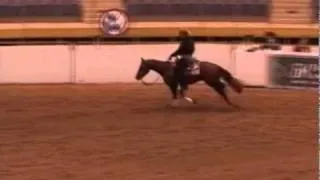 West Coast Diamond - 2008 International Reining Festival