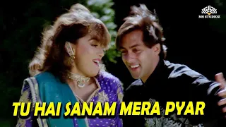 Tu hai sanam mera pyar (HD) 💖💘 Dil Tera Aashiq (1993) | salman Khan | Madhuri Dixit | 90s Songs