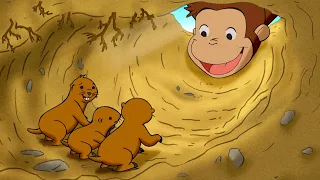 Salvando os Gophers 🐵 George, o Curioso 🐵 Desenhos Animados