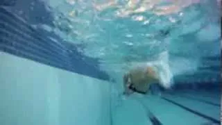 Alex - Total Immersion Level 1 Student - Initial Video (Courtesy Day)