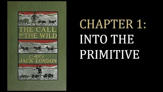 The Call of the Wild - Chapter 1: Into the Primitive (Jack London)