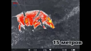 Как далеко видит тепловизор?