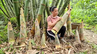 FULL VIDEO: Harvesting Giant Bamboo Shoots / 35 Days of Build Life in Farm