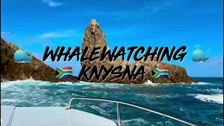 Knysna Whale Watching and the Magnificent Garden Route Coastline from the passengers perspective
