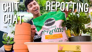 Lets Repot 🪴✨ Some Houseplants 🌿 Together & Chat About Life! Repotting Gulley Greenhouse Plants!