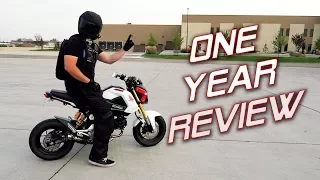 One Year With a Honda Grom | Owner's Review