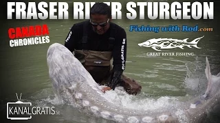 Canada Chronicles - Fraser River Sturgeon ft. Fishing with Rod & Kanalgratis.se