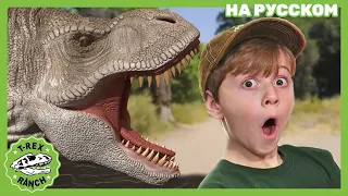 МАМА ТИ-РЕКС НАСТУПАЕТ | Ти-рексы - Динозавры для детей
