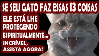 13 SINAIS DE QUE SEU GATO ESTÁ PROTEGENDO VOCÊ ESPIRITUALMENTE, VEJA O VÍDEO AGORA PARA ENTENDER!