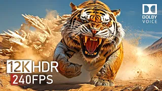 The Unleashed Fury of Nature: HDR 12K SUPER ULTRA HD 240FPS - Dolby Vision