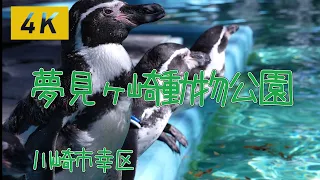 【4K】夢見ヶ崎動物公園の動物たち