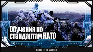 Украинские военные прошли курс обучения по стандартам НАТО