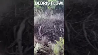 DEBRIS FLOW monster flash flood close range Colorado