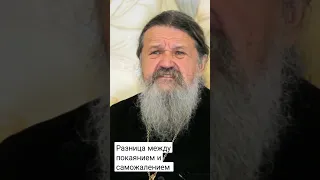 Разница между покаянием и саможалением. о. Андрей Лемешонок