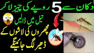 Best Kitchen & Home Tips and Tricks| Kitchen tips & Hacks | Mosquitoes Coils life hacks