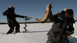 PÊCHE SOUS LA GLACE EN MILIEU POLAIRE  - Cyril Chauquet