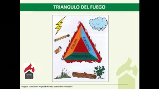 Taller 4, parte 1: Conceptos básicos de incendios forestales