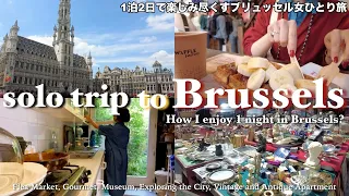 Solo Trip to Brussel from Paris for 1 night | exploring the city, food, museum, flea market and more