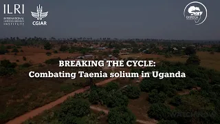 Breaking the cycle: combating Taenia solium in Uganda