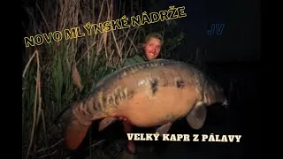 Rybí svět Jakub Vágner-KAPR NOVÉ MLÝNY/odchov a lov kapra HD