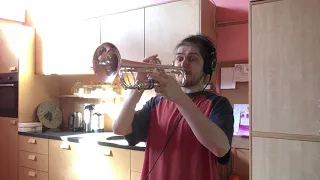 Meshuggah's "Bleed" Guitar Solo on Trumpet