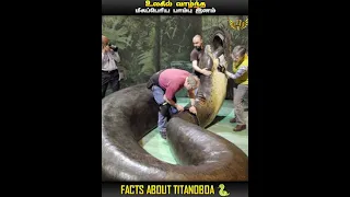 FACTS ABOUT TITANOBOA || BIGGEST SNAKE IN WORLD || IN TAMIL || MIC LA SOLLU