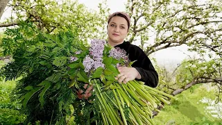 ԹԹՎԱՑՈՒ Քաղելու Սեզոնը Բացվեց - Дары Весны - Շամշադինի Համը - Шамшадин