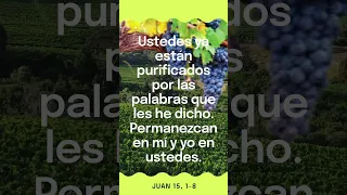 "Yo soy la verdadera vid y mi Padre es el viñador. Juan 15, 1-8 #ValoresDelEvangelio #ValoresRadio