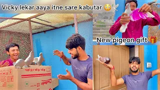 Big surprise mila aaj 😍 !! Itne sare kabutar dekh kar khush ho gya 🕊🎁 !! New pigeon