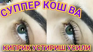 кош киприк устириш уй шароитида