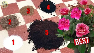 PERFECT POTTING SOIL MIX FORMULA FOR ALL PLANTS