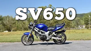 2001 Suzuki SV650: Regular Car Reviews