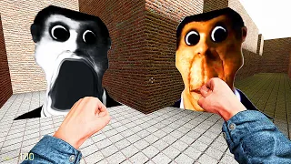 ОБУНГА ГОНЯЕТСЯ ЗА НАМИ В ЛАБИРИНТЕ ЛУЧШИЕ СЕРИИ OBUNGA NEXTBOT Garry's Mod