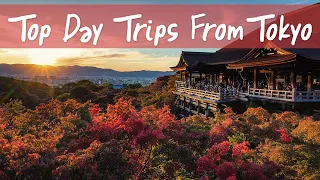 Top 3 Best Fall Day Trips from Tokyo 2023