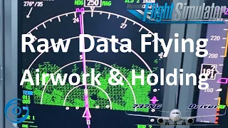 Raw Data Flying: Holdings, Airwork and Orientation | Real 737 Pilot