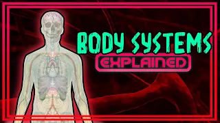 Body Systems Explained!