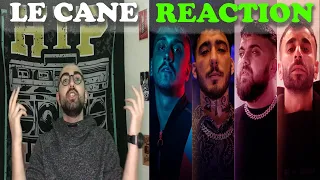 REACTION TO LE CANE ( MUTI X UZI X CRITICAL X HEIJAN )