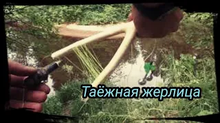 РЫБАЛКА НА ЖЕРЛИЦЫ / ТАЁЖНАЯ ЖЕРЛИЦА /  ЖЕРЛИЦА ПО ГИЛОВСКИЙ))))