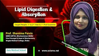 Biochemistry | Lipid Digestion & Absorption