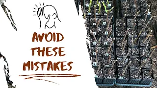 AVOID These Mistakes! Propagate Fruit Trees Like a PRO 🌱 | Ultimate Cuttings Guide