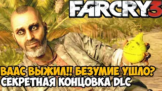 ВААС ВЫЖИЛ! СЕКРЕТНАЯ КОНЦОВКА СЮЖЕТКИ ПРО ВААСА - Far Cry DLC Безумие Финал / Хорошая Концовка