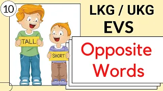 Part 10 - LKG / UKG EVS Course | opposite words for kids | lkg evs online class | toppo kids