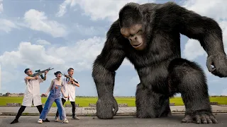 King Kong In Real Life Vs Hunter | RISE OF THE BEASTS : Who Is The King Of Monsters | Tedddy Chase