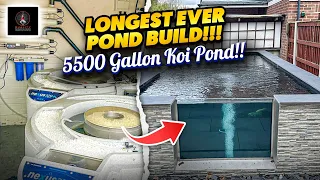 5500 GALLON KOI POND!! IT TOOK A WHILE... !! STUNNING POND.