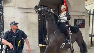 Very Rude Chanting People Did This to King’s Horse