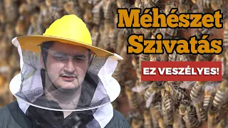 12 Órán Át Méhekkel Kínoztak | Vendel Szivatás